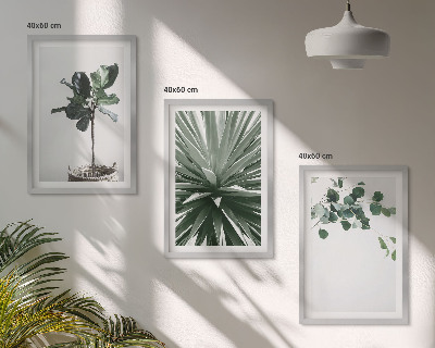 Billedvæg inspiration Grønne planter minimalisme
