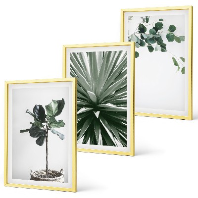 Billedvæg inspiration Grønne planter minimalisme