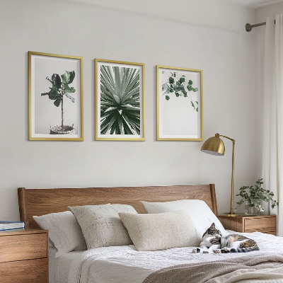 Billedvæg inspiration Grønne planter minimalisme