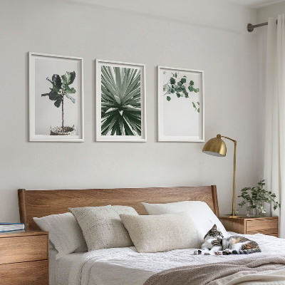 Billedvæg inspiration Grønne planter minimalisme