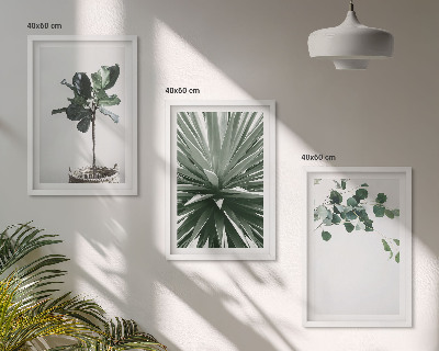 Billedvæg inspiration Grønne planter minimalisme