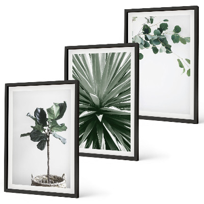 Billedvæg inspiration Grønne planter minimalisme