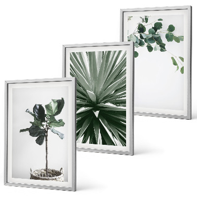 Billedvæg inspiration Grønne planter minimalisme