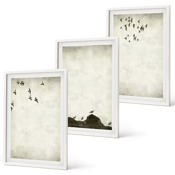 Triptykon billeder med ramme Flyvende fugle minimalisme