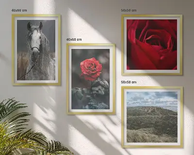 Billedvæg over sofa røde roser med hest på grå baggrund
