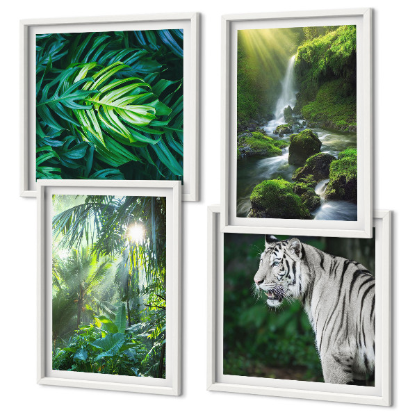 Billedsæt med ramme Jungle White Tiger Vandfald