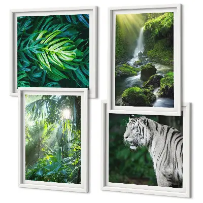 Jungle White Tiger Vandfald billedsæt med ramme