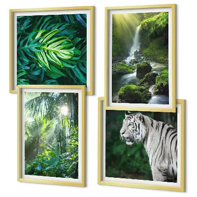 Jungle White Tiger Vandfald billedsæt med ramme