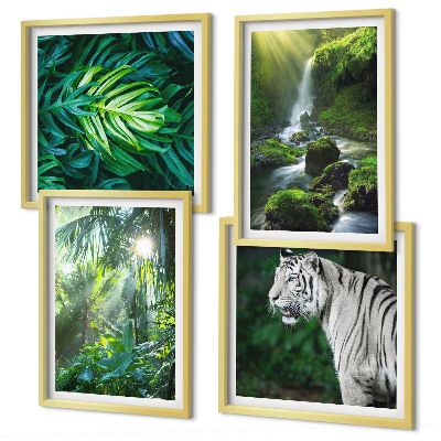 Billedsæt med ramme Jungle White Tiger Vandfald