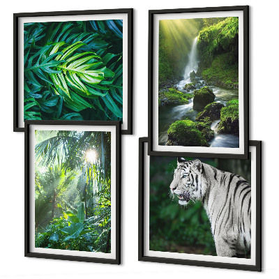 Billedsæt med ramme Jungle White Tiger Vandfald