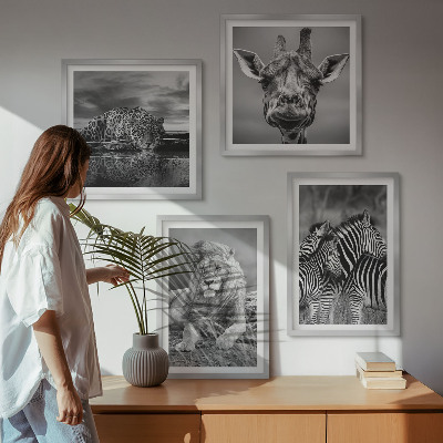 Billedvæg over sofa Vilde dyr Løve Jaguar Giraf Zebraer
