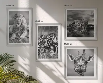 Billedvæg over sofa med motiver af løve, jaguar, giraf og zebraer