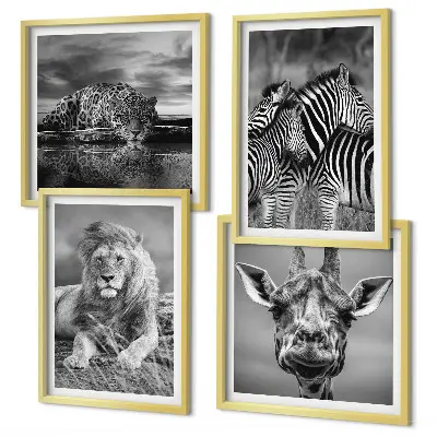 Billedvæg over sofa med motiver af løve, jaguar, giraf og zebraer