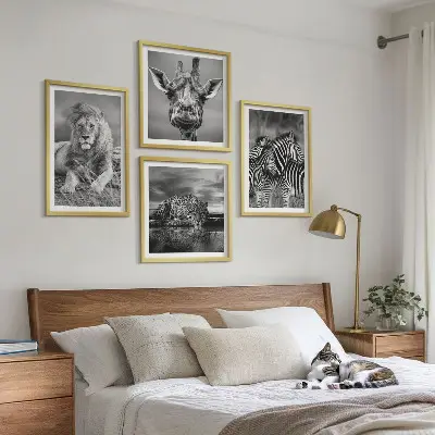 Billedvæg over sofa med motiver af løve, jaguar, giraf og zebraer