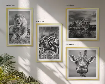Billedvæg over sofa med motiver af løve, jaguar, giraf og zebraer