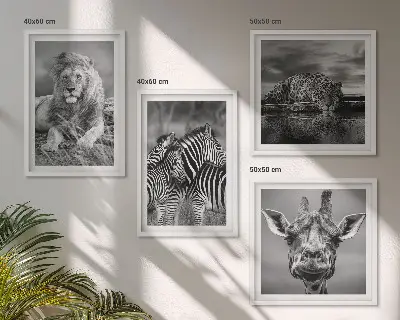 Billedvæg over sofa med motiver af løve, jaguar, giraf og zebraer