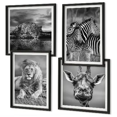 Billedvæg over sofa med motiver af løve, jaguar, giraf og zebraer