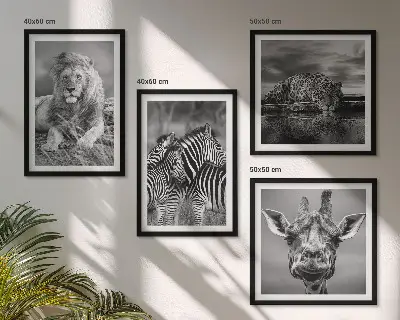 Billedvæg over sofa med motiver af løve, jaguar, giraf og zebraer