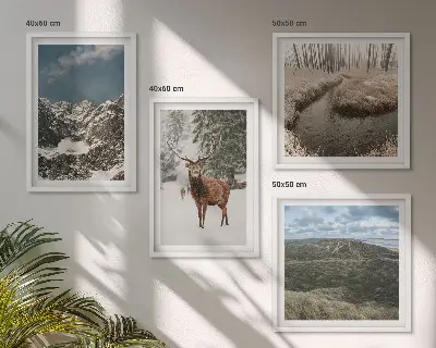 Billedsæt med ramme landskab med bjerge, sne, hjorte og skov