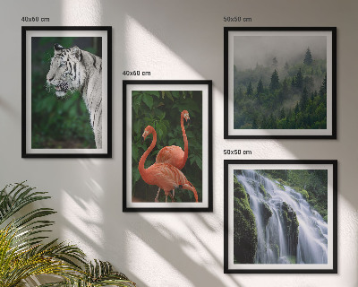 Billedvæg over sofa Tiger vandfald flamingoer natur