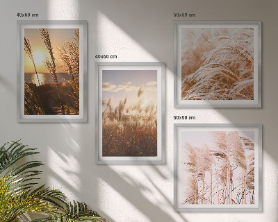 Billedsæt med ramme Boho græsmark solnedgang