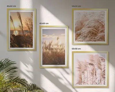 Boho græsmark solnedgang billedsæt med ramme