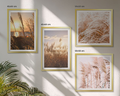 Billedsæt med ramme Boho græsmark solnedgang