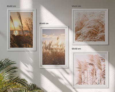 Billedsæt med ramme Boho græsmark solnedgang