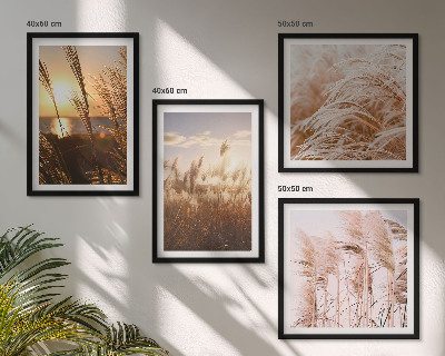 Billedsæt med ramme Boho græsmark solnedgang