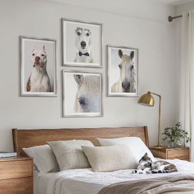 Billedsæt med ramme Elegante portrætter af hunde og heste