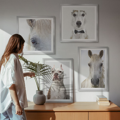 Billedsæt med ramme Elegante portrætter af hunde og heste