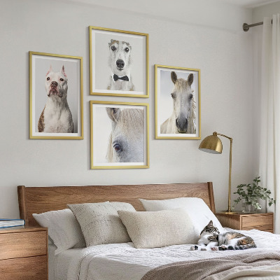 Billedsæt med ramme Elegante portrætter af hunde og heste