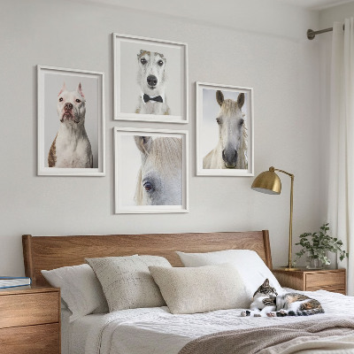 Billedsæt med ramme Elegante portrætter af hunde og heste