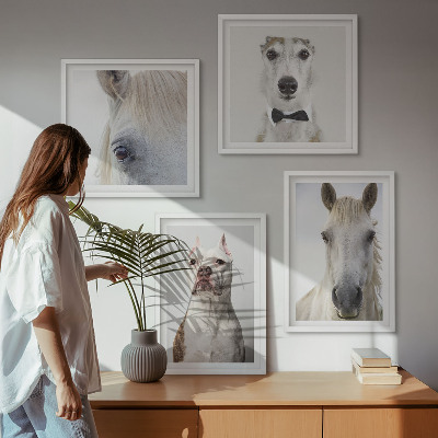 Billedsæt med ramme Elegante portrætter af hunde og heste