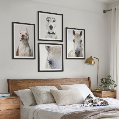 Billedsæt med ramme Elegante portrætter af hunde og heste