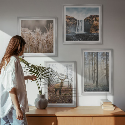 Billedvæg over sofa Skovlandskaber med vild natur