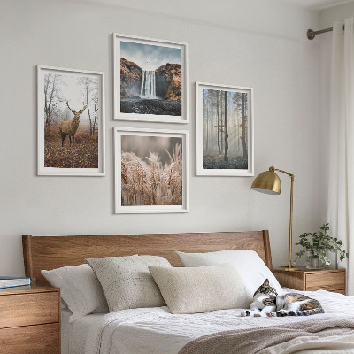Billedvæg over sofa Skovlandskaber med vild natur