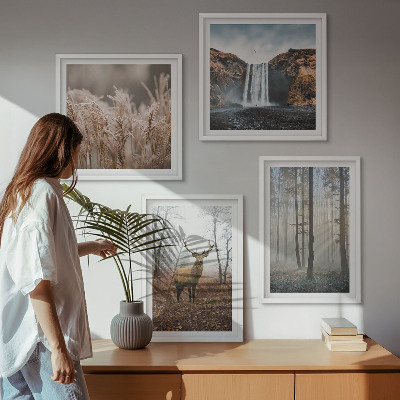 Billedvæg over sofa Skovlandskaber med vild natur