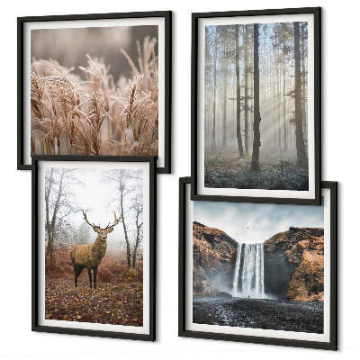 Billedvæg over sofa Skovlandskaber med vild natur