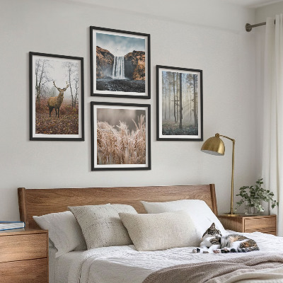 Billedvæg over sofa Skovlandskaber med vild natur