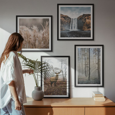 Billedvæg over sofa Skovlandskaber med vild natur