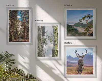 Billedsæt med ramme med motiv af vej, skov, bjerge og hjorte i naturen
