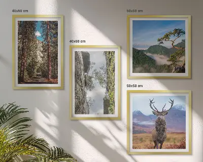 Billedsæt med ramme med motiv af vej, skov, bjerge og hjorte i naturen