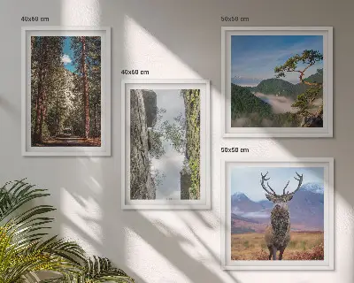 Billedsæt med ramme med motiv af vej, skov, bjerge og hjorte i naturen