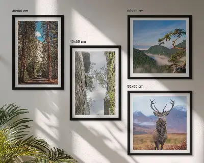 Billedsæt med ramme med motiv af vej, skov, bjerge og hjorte i naturen