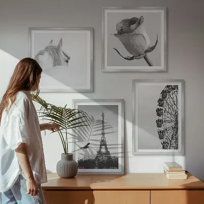 Billedsæt med ramme med motiver af rose, eiffeltårn, hest og pariserhjul i sort-hvid