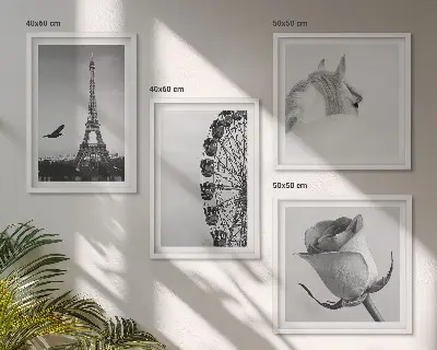 Billedsæt med ramme med motiver af rose, eiffeltårn, hest og pariserhjul i sort-hvid