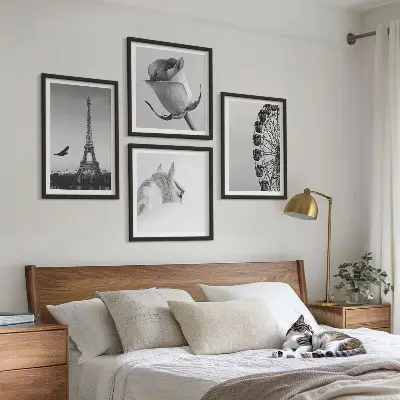 Billedsæt med ramme med motiver af rose, eiffeltårn, hest og pariserhjul i sort-hvid