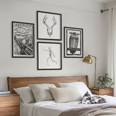 Billedvæg over sofa Inspiration Skrig Kranie Ugle