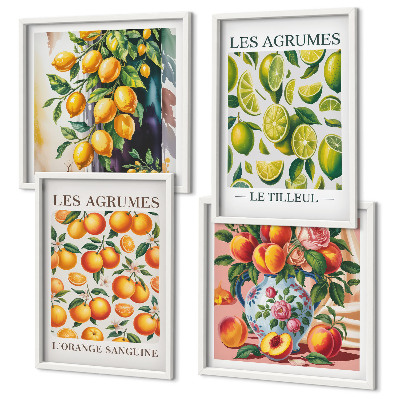 Billedsæt med ramme Friske farverige citrusfrugter